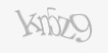 Защитный код